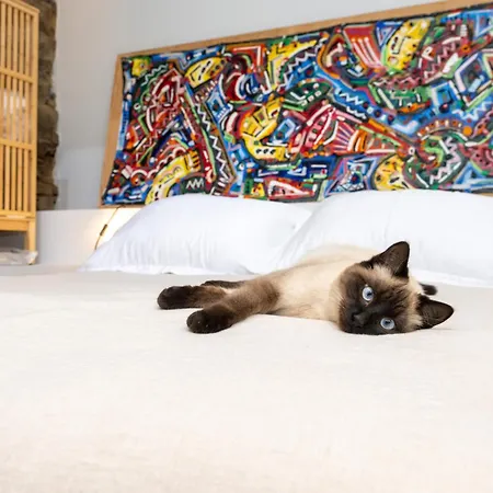 Guest house A Rectoral De Seadur