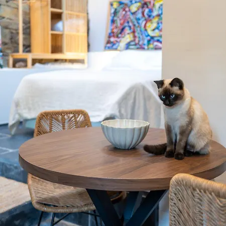 A Rectoral De Seadur