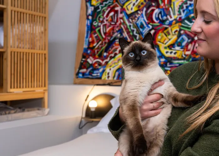 A Rectoral De ゲストハウス Seadur