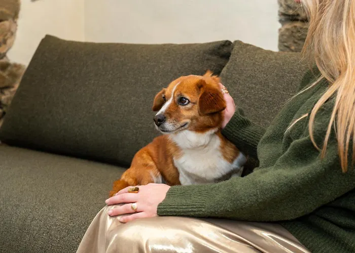 A Rectoral De ゲストハウス 3*