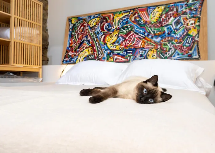 ゲストハウス A Rectoral De Seadur